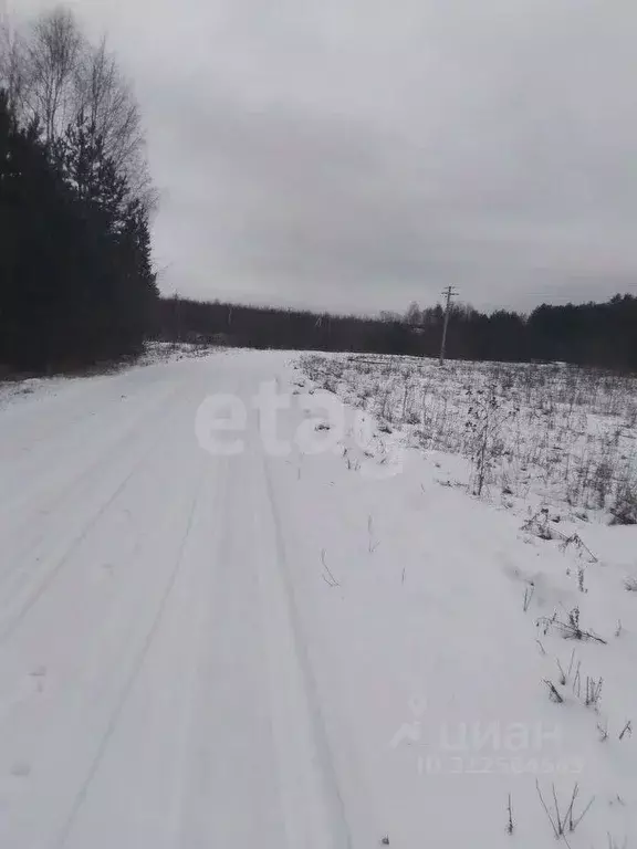 Участок в Кировская область, Киров городской округ, д. Гуси  (12.0 ... - Фото 0