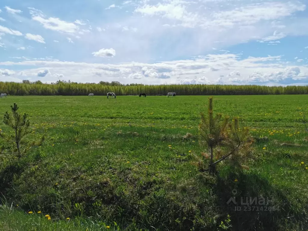 Участок в Тверская область, Старицкий муниципальный округ, д. Волга  ... - Фото 2