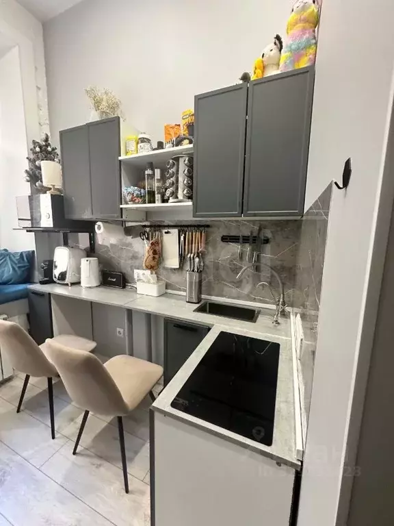 Студия Санкт-Петербург Коломенская ул., 33/40 (12.0 м) - Фото 2