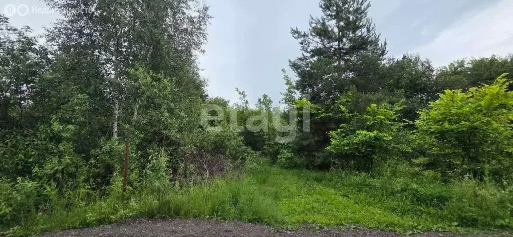 Участок в Богородское сельское поселение, село Гильдеево, Кольцевая ... - Фото 1