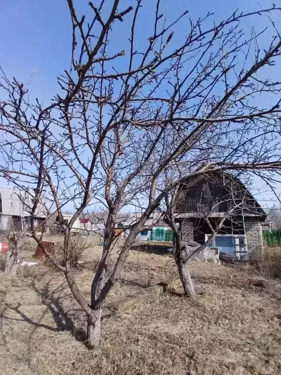 Участок в Свердловская область, Кировград Кедр СНТ,  (6.0 сот.) - Фото 2