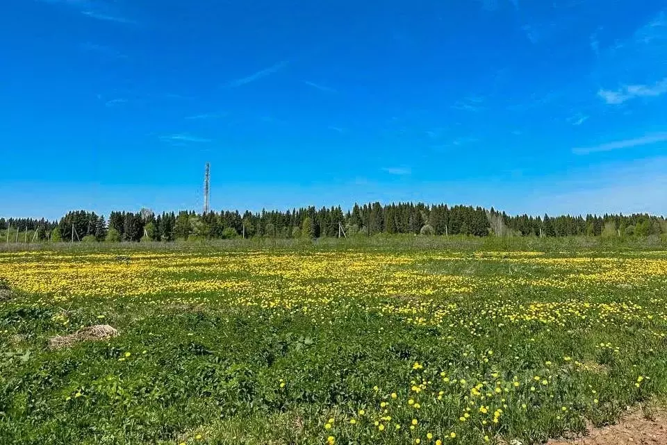 Участок в Пермский край, пос. Сылва ул. Загородная (8.3 сот.) - Фото 1