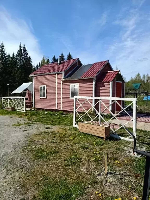 Дом в Карелия, Питкярантский муниципальный округ, д. Янис ул. Полевая, ... - Фото 0