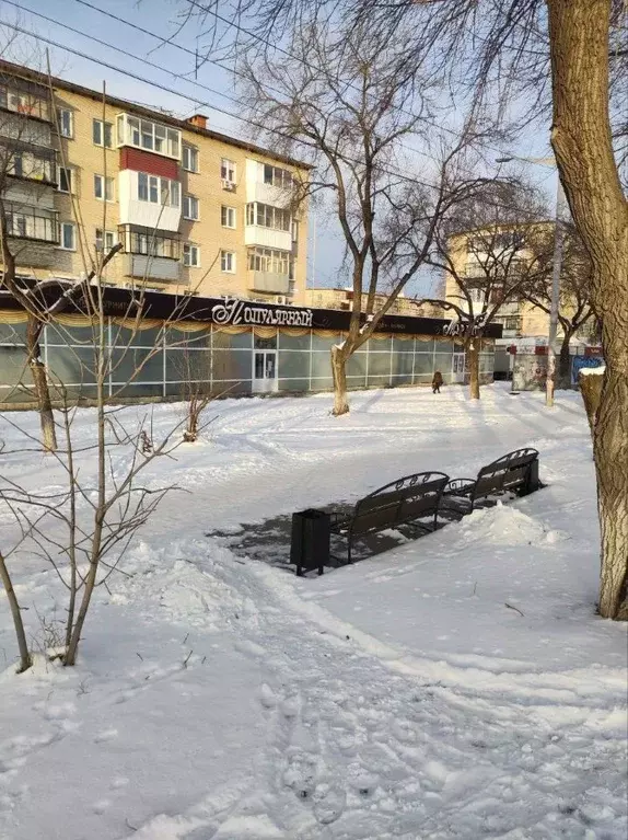 Торговая площадь в Челябинская область, Миасс просп. Автозаводцев, 52 ... - Фото 1