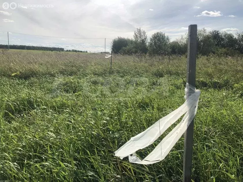 участок в село луговое, микрорайон романов (6 м) - Фото 0