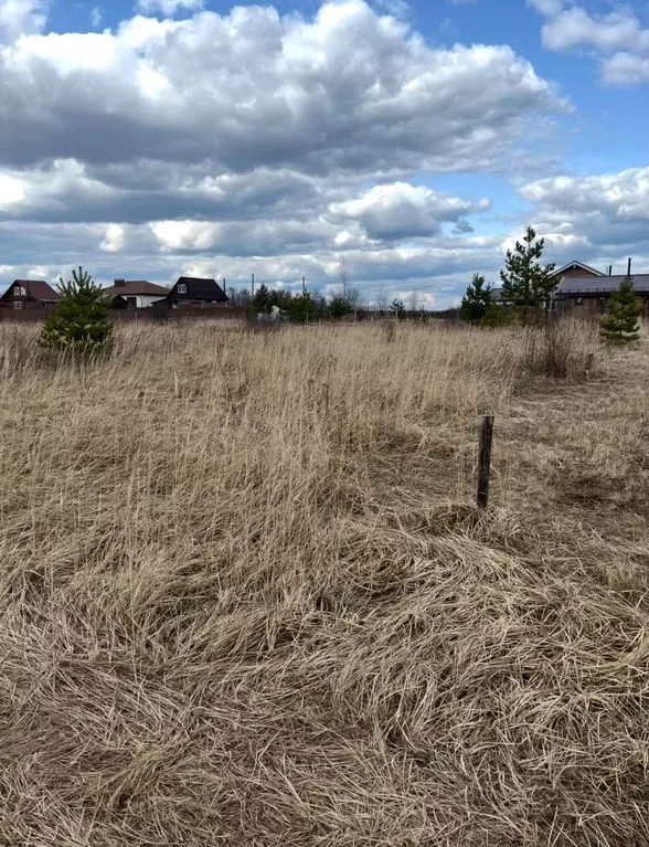 Участок в Владимирская область, Гороховецкий район, Куприяновское ... - Фото 0