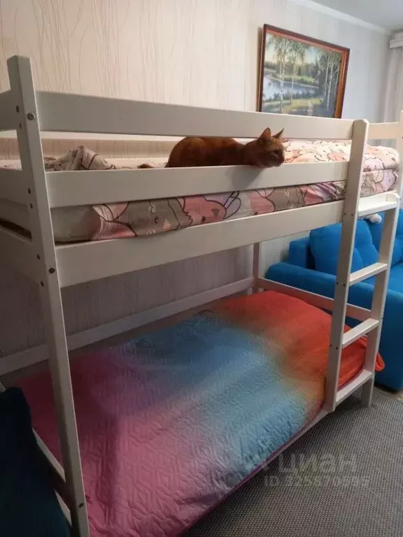 1-к кв. Нижегородская область, Нижний Новгород Южное ш., 26 (31.0 м) - Фото 1