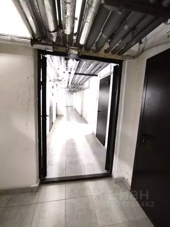 Помещение свободного назначения в Новосибирская область, Новосибирск ... - Фото 1