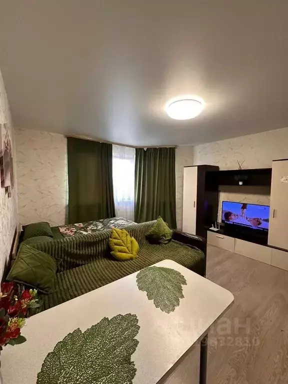 Студия Московская область, Домодедово Южный мкр, ул. Курыжова, 16 ... - Фото 2