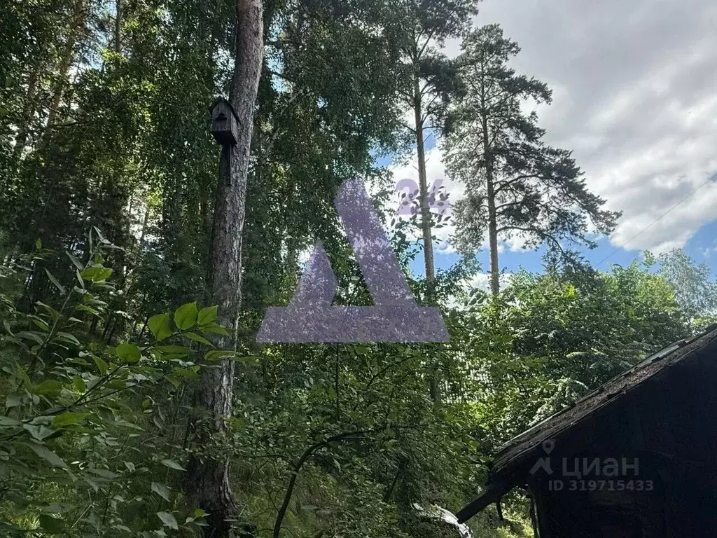 Дом в Алтайский край, Барнаул Канатный проезд, 31 (26 м) - Фото 1