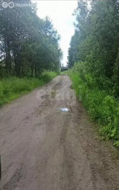 Участок в Вологодская область, Череповецкий муниципальный округ, ... - Фото 2