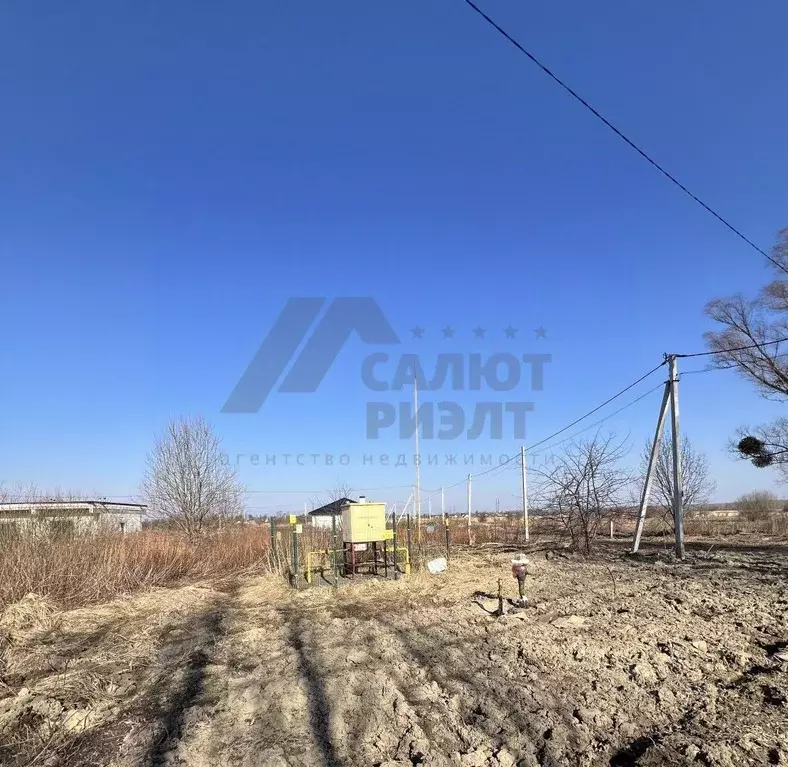 Участок в Калининградская область, пос. Лесное  (6.0 сот.) - Фото 1