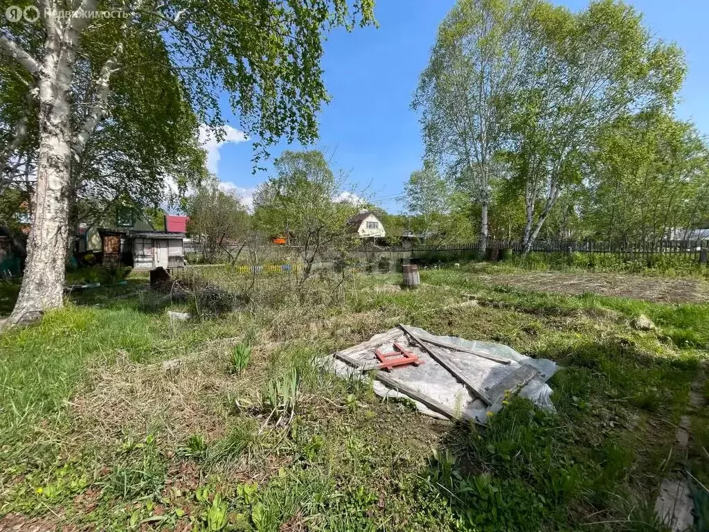 Дом в Новоавачинское сельское поселение, СНТ Заря (20 м) - Фото 0