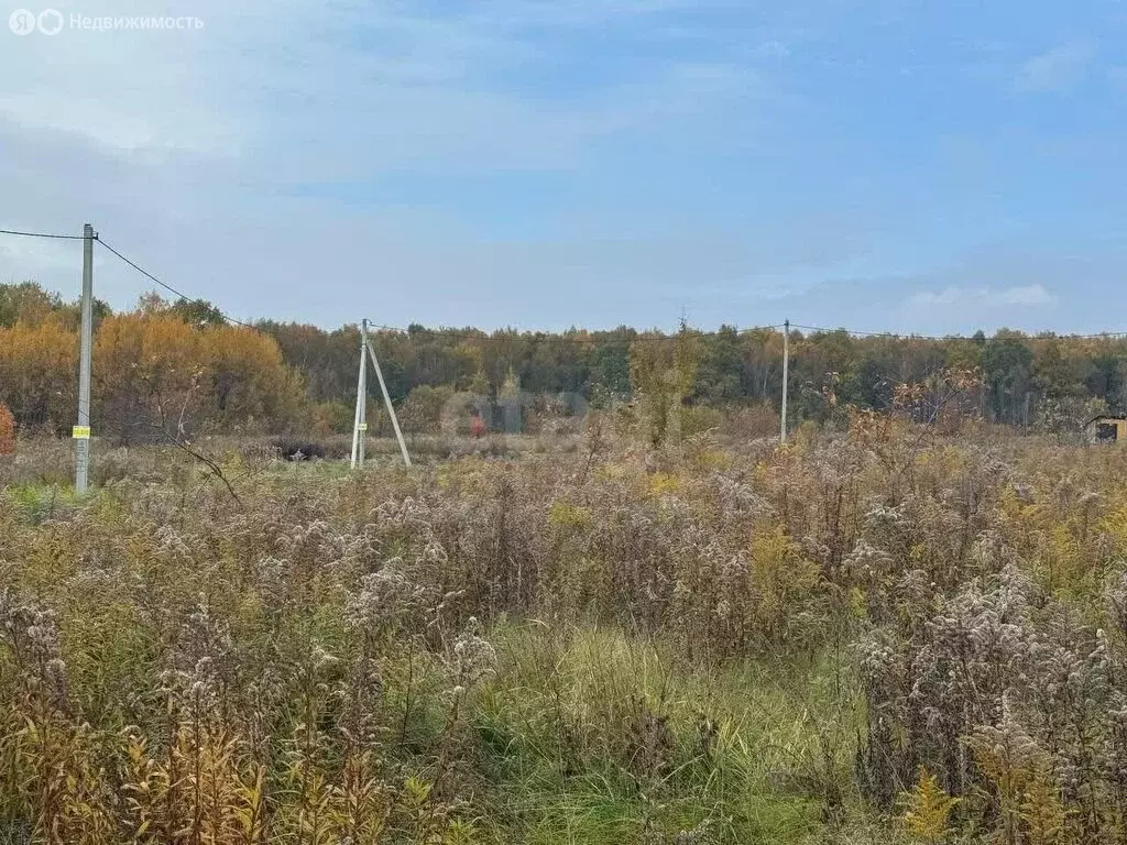 Участок в Тула, Центральный территориальный округ (15 м) - Фото 2