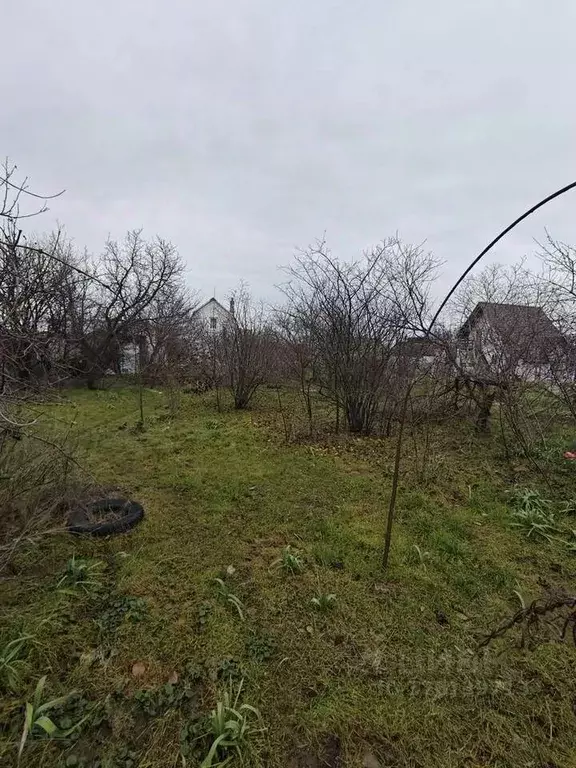 Участок в Крым, Феодосия Геотехник СПК, ул. Вишневая (4.0 сот.) - Фото 1