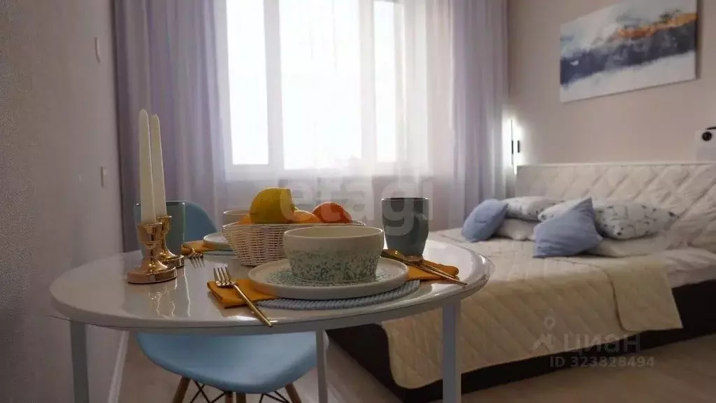 Студия Новосибирская область, Новосибирск ул. Кирова, 113/2 (25.0 м) - Фото 2