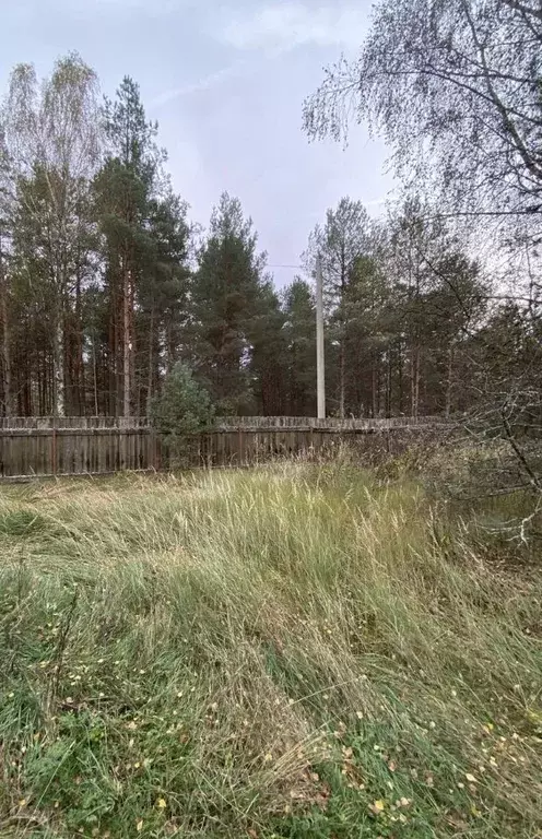 Участок в Тверская область, Конаковский муниципальный округ, д. ... - Фото 1