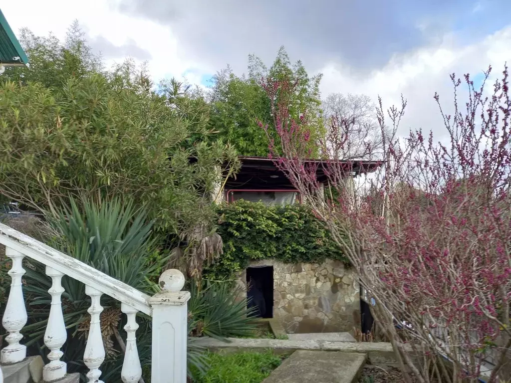 Коттедж в Краснодарский край, Сочи Ландышевая ул. (206 м) - Фото 2