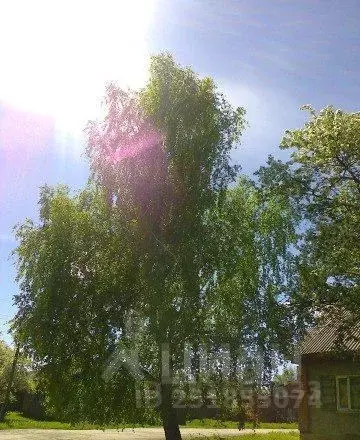 Дом в Свердловская область, Невьянск ул. Островского, 1 (120 м) - Фото 2