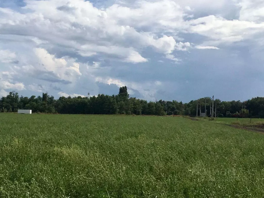 Участок в Краснодарский край, Краснодар пос. Победитель, ул. ... - Фото 0