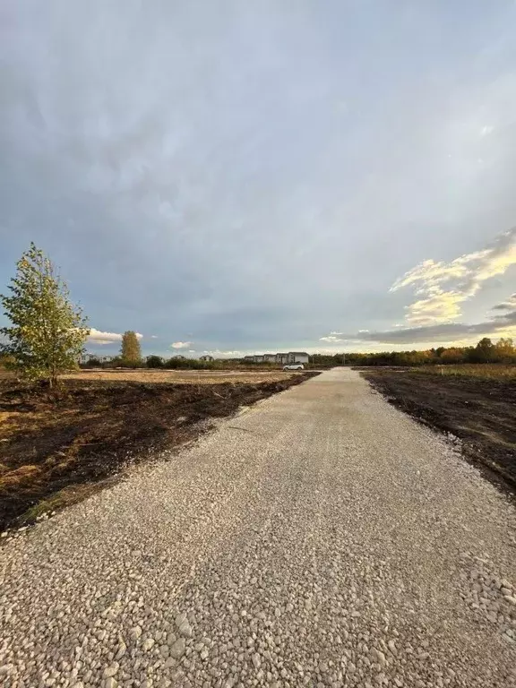 Участок в Нижегородская область, Богородский муниципальный округ, д. ... - Фото 2