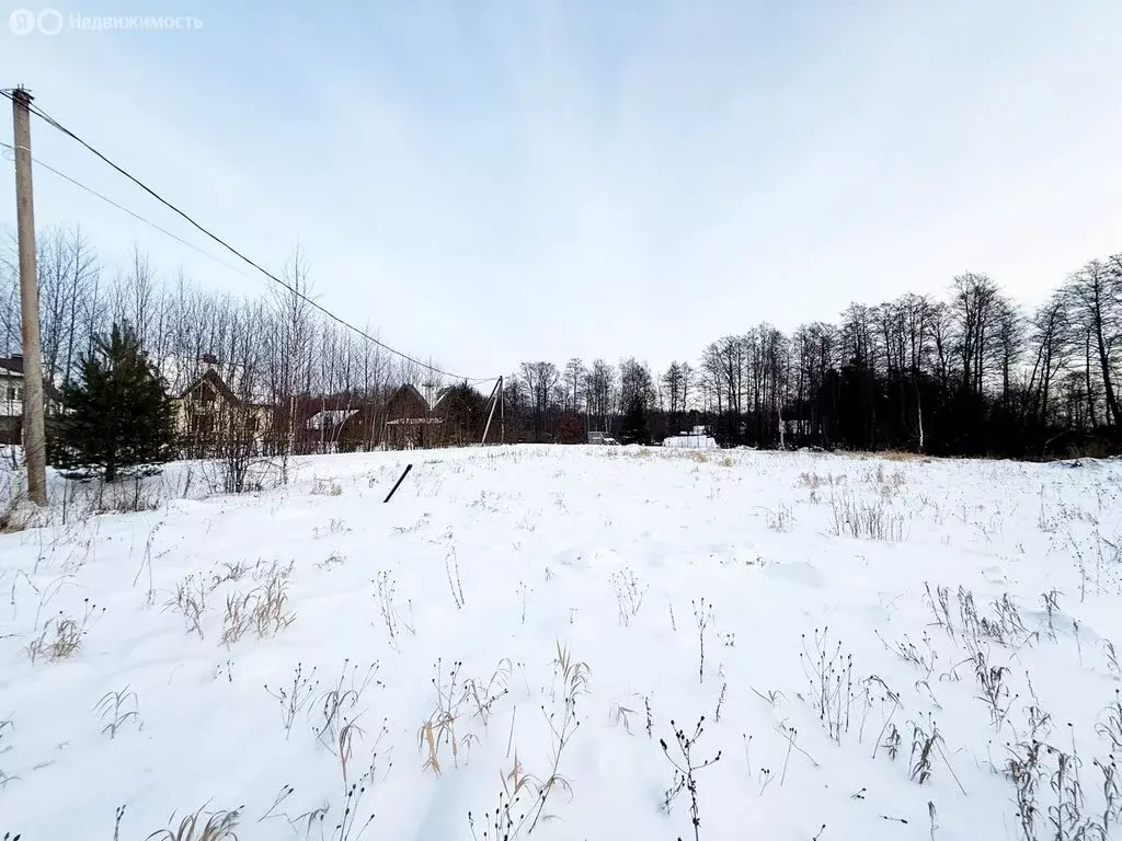 Участок в поселок Зеленая Роща, коттеджный посёлок Видная горка (15 м) - Фото 1