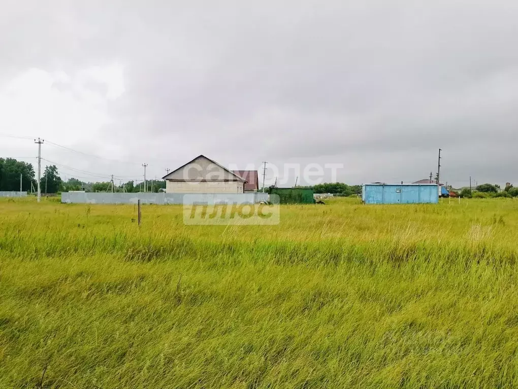 Участок в Челябинская область, Красноармейский район, Козыревское ... - Фото 0