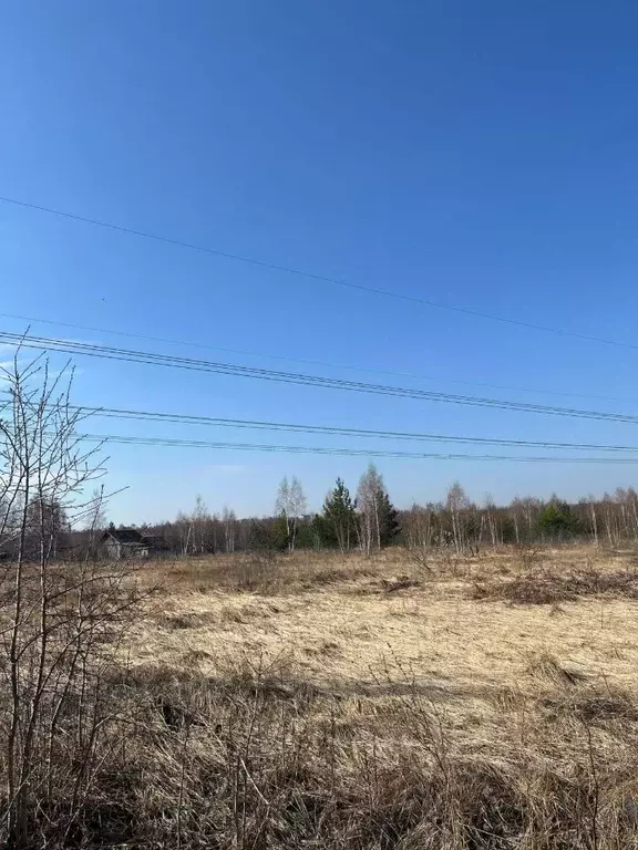 Участок в Татарстан, Высокогорское с/пос, Адонис садовое товарищество ... - Фото 1