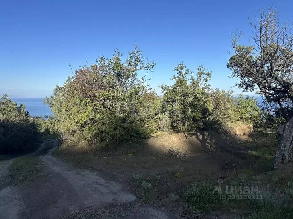 Участок в Крым, Алушта муниципальный округ, пос. Семидворье, ... - Фото 1