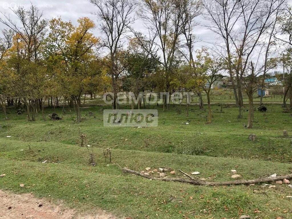 Участок в Кизлярский район, село Кардоновка (12 м) - Фото 2