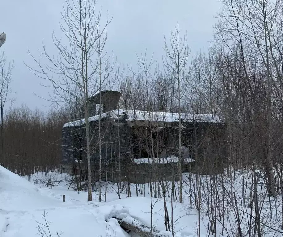 Дом в Сахалинская область, Поронайский городской округ, с. Восток ул. ... - Фото 0