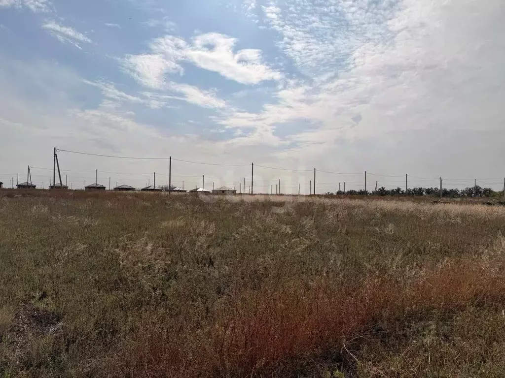 Участок в Ростовская область, Мясниковский район, с. Большие Салы ... - Фото 1