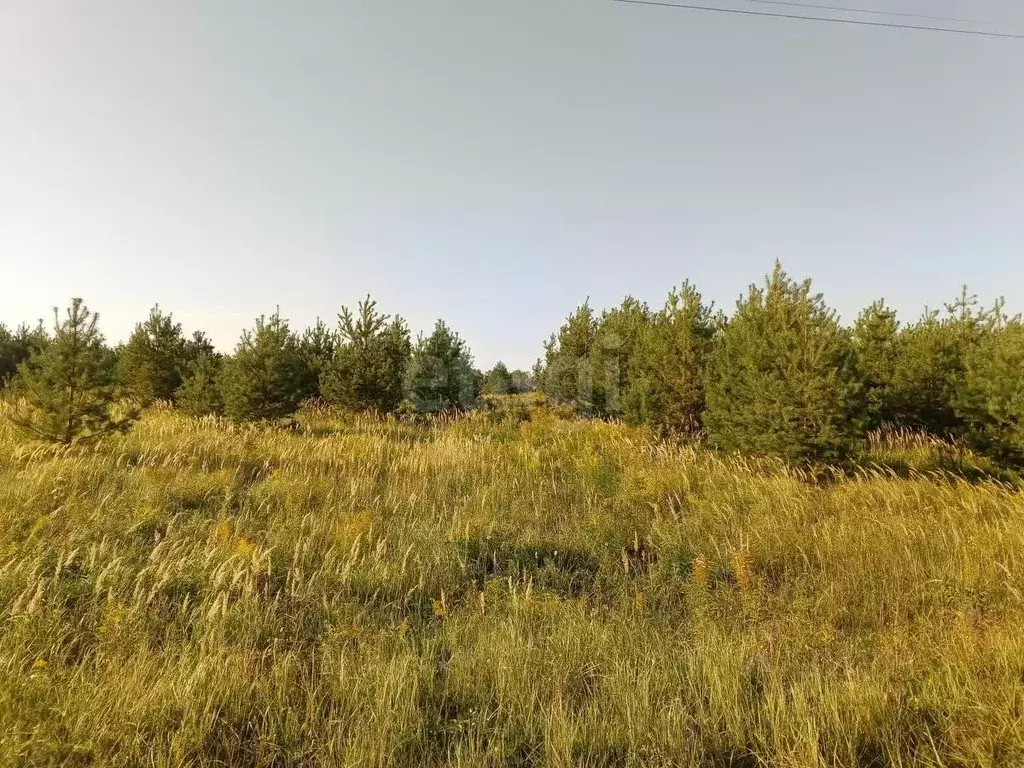 Участок в Калужская область, Жуковский муниципальный округ, Тростье ... - Фото 2