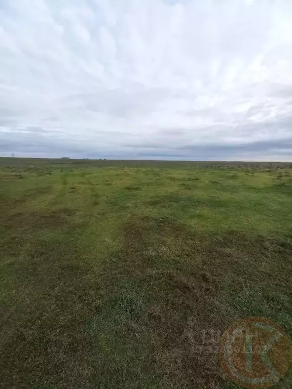 Участок в Крым, Сакский район, Штормовское с/пос, с. Приветное  (10.0 ... - Фото 1