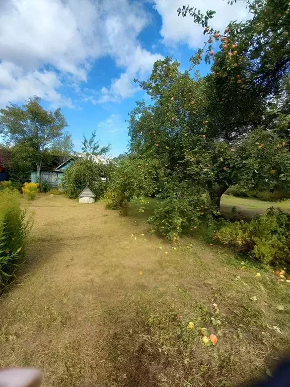 Участок в Ленинградская область, Кингисепп Сережино садоводческий ... - Фото 0