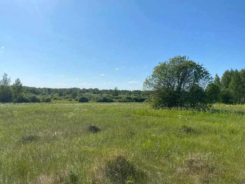 Участок в Псковская область, Пушкиногорье городское поселение, д. ... - Фото 0