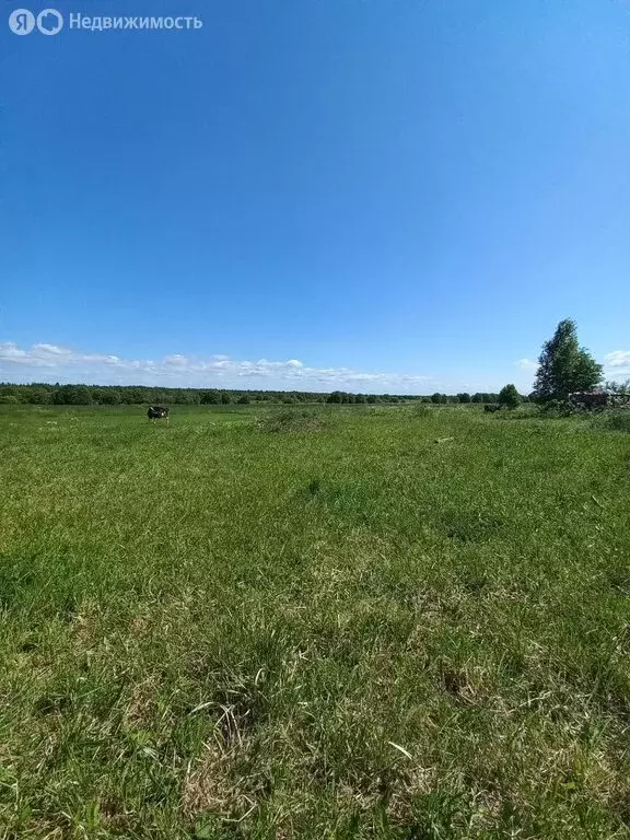 Участок в Вологодский муниципальный округ, деревня Петраково ... - Фото 0