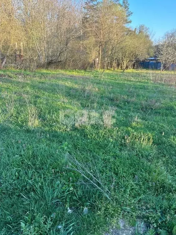 Участок в Краснодарский край, Горячий Ключ муниципальный округ, с. ... - Фото 2