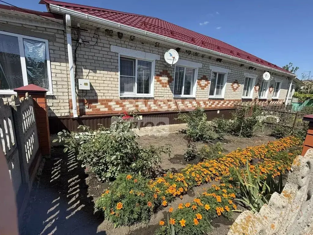 Дом в Курская область, Щигровский район, Защитенский сельсовет, с. ... - Фото 1