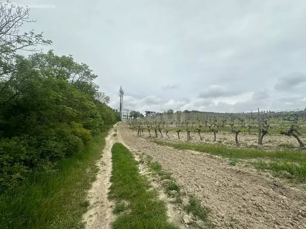 Участок в село Мысхако, Центральная улица (10 м) - Фото 1