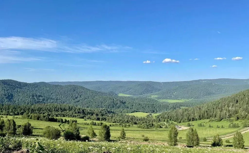 Участок в Алтай, Чемальский район, Седьмое небо кп  (34.0 сот.) - Фото 0