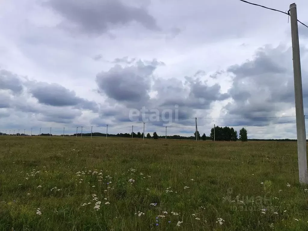 Участок в Алтайский край, Первомайский район, с. Фирсово ул. Рябиновая ... - Фото 1