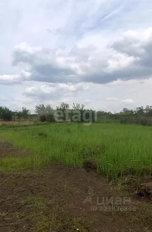 Участок в Ростовская область, Азов Азовский район,  (11.85 сот.) - Фото 1