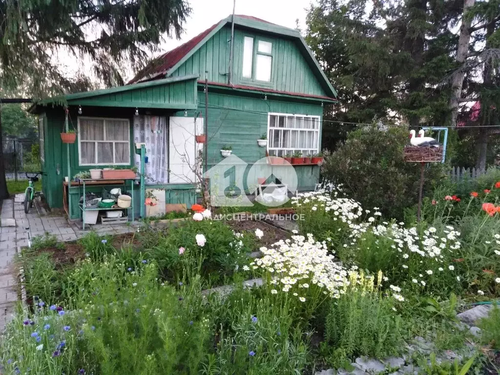 Дом в Новосибирская область, Новосибирский район, Толмачевский ... - Фото 0