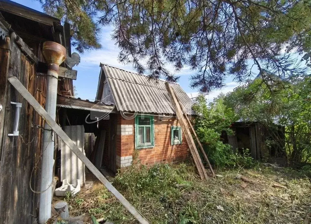 Дом в Тюменская область, Тюмень Мелиоратор садовое товарищество, ул. ... - Фото 2