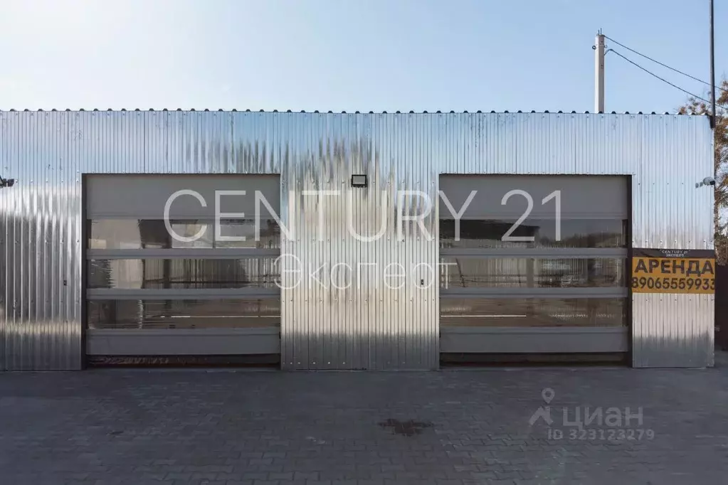 Помещение свободного назначения в Калининградская область, Светловский ... - Фото 2