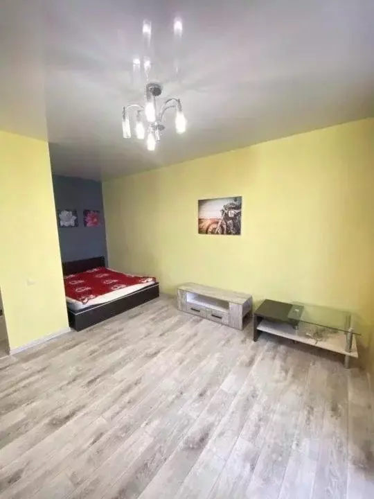 Студия Пензенская область, Пенза Ладожская ул., 110 (28.0 м) - Фото 2