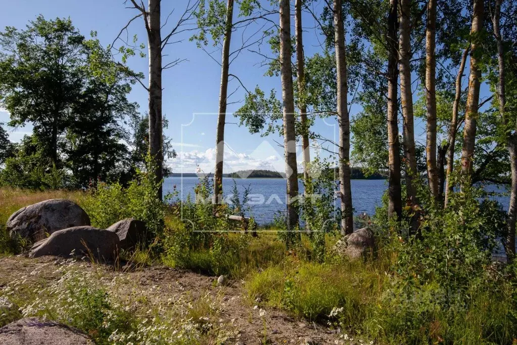 Участок в Ленинградская область, Приозерский район, Громовское с/пос, ... - Фото 1