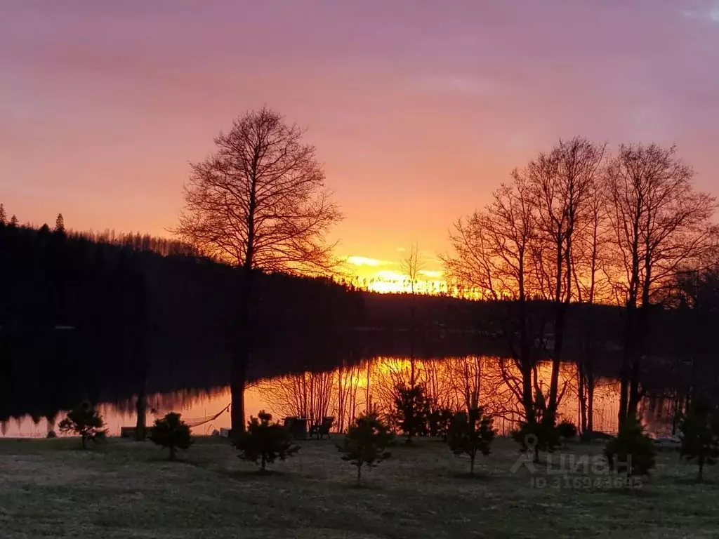 Дом в Ленинградская область, Выборгский район, Каменногорское ... - Фото 1