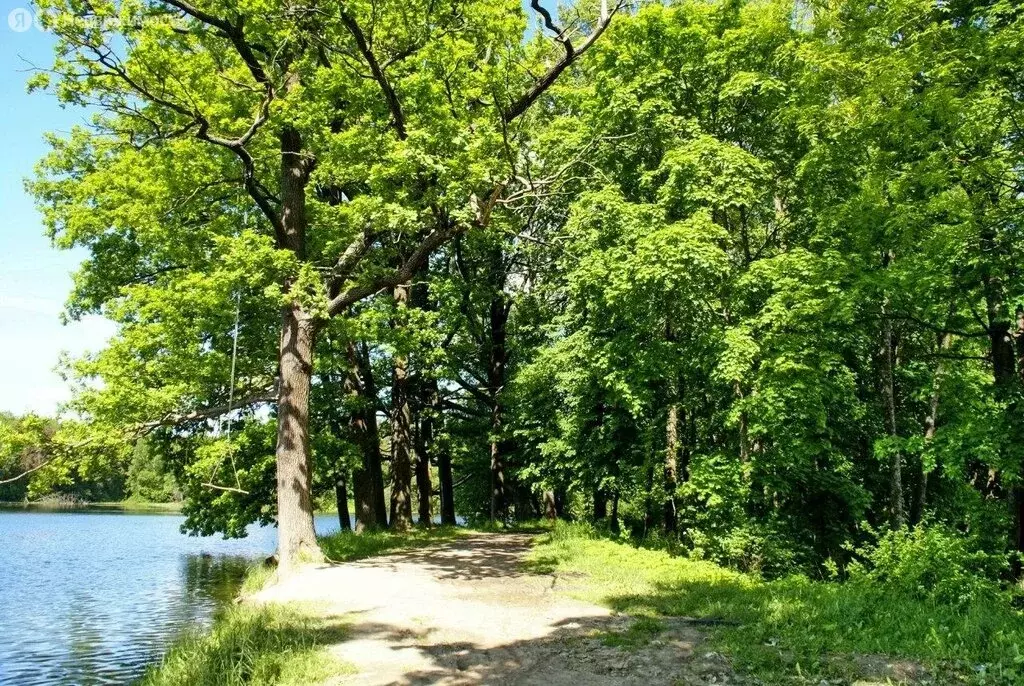 Участок в Ломоносовский район, Виллозское городское поселение, ... - Фото 0